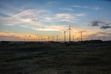 Parque aeólicas nordeste brasileiro