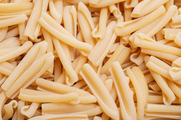 Uncooked Italian Casarecce pasta made from organic durum wheat semolina. Macaroni product.