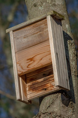wooden bat house hung on tree