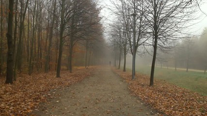 A man is walking on a foggy city park path in autumn. He approaches the camera and we see that he is pre occupied with his mobile phone.