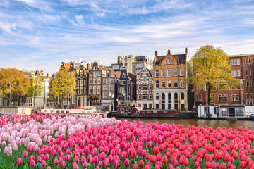Amsterdam Nederland, stadshorizon Nederlands huis aan de waterkant van het kanaal met lentetulpbloem