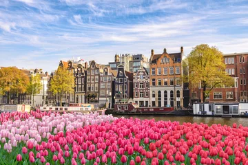 Poster Im Rahmen Amsterdam Niederlande, Skyline der Stadt Holländisches Haus am Kanalufer mit Tulpenfrühlingsblume © Noppasinw