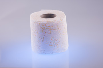 White roll toilet paper,wc