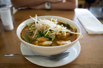 Malaysian Noodle Soup