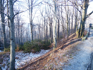 Polskie krajobrazy zima.