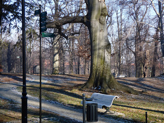 Piekny zamek Ksiaz i park zamkowy zima.