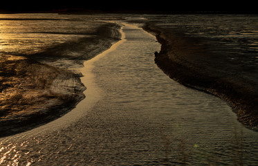 Low tide at dusk at nature preserve. 