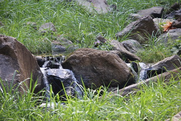 Small River in Bromo Tengger Semeru National Park