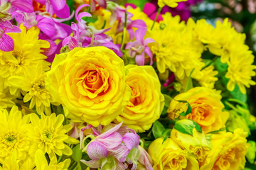 The rose is the flower represents love. Its on a flower background.