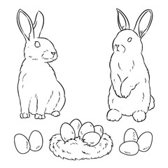 Two easter rabbits and easter eggs. Cartoon image doodle for coloring. Lineart sketch