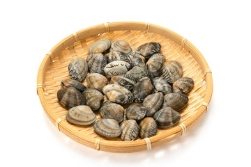 アサリ