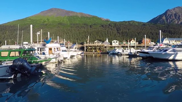View from a charter fishing boat leaving Seward Alaska harbor with a beautiful mountain background, calm water, birds flying, and many power boats and sailboats showing a glimpse of harbor life.
