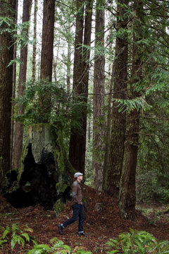 Man walking alone in woods
