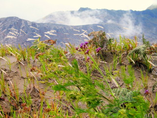 Obraz premium Mount Bromo. Volcano in Java. Indonesia