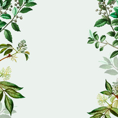 Green botanical frame