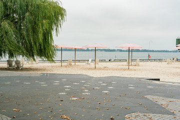 Tree, sand and Sugar Beach Park