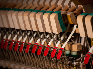 Abstract closeup of the interior of an upright piano © Stefan