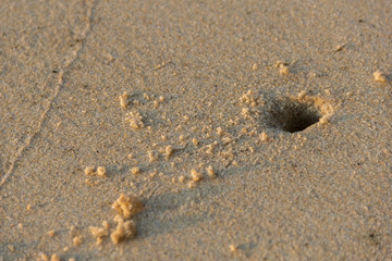 Small hole on the beach May be caused by small crabs.