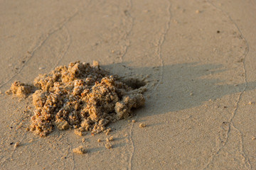 Sand pits of small holes on the sand May be caused by digging of small crabs