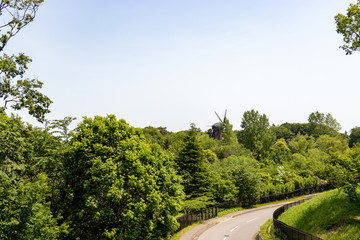 Spring fresh green landscape, Park in Funabashi City, Chiba prefecture, Japan