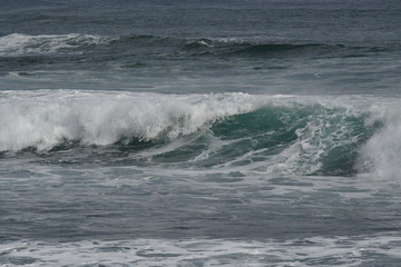 冬の海