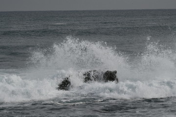 冬の海