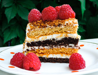 A small piece of fresh cake with red raspberries. Dessert for tea. Raspberry cake and many fresh raspberries. Homemade raspberry cake. Copy space. Selective focus. Delicious cake with fresh berries.