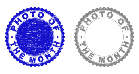 Obraz premium Grunge PHOTO OF THE MONTH stamp seals isolated on a white background. Rosette seals with grunge texture in blue and gray colors.