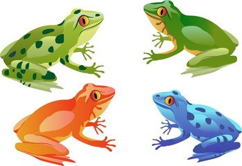 Tropical colored frogs vector set isolated on white