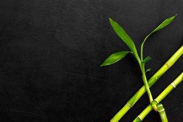 Asian background. Green bamboo branches on black background top view space for text