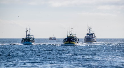 Guilvinec, retour de pêche, Finistère, France.