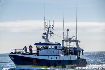 Fototapeta premium Guilvinec, retour de pêche, Finistère, France.