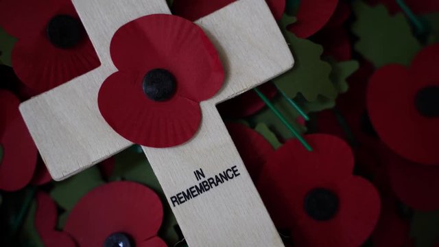 A Remembrance Day cross with a poppy attached in a box surrounded by lot's of other poppy's. Symbolising the dead of war.