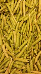 Ejotes