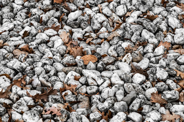 Kieselsteine und Herbstblätter