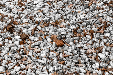 Kieselsteine und Herbstblätter