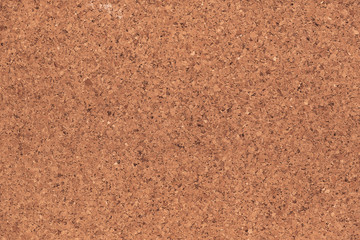 Empty cork board background.