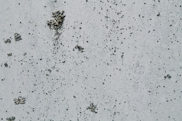 white surface of another planet with plants, life on another planet