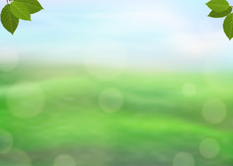 Naklejka premium Nature green background with fresh leaves on a blurred background of grass and sky and bokeh effect. View with copy space add text. Vector