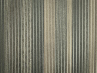 Fototapeta premium Wood texture and background