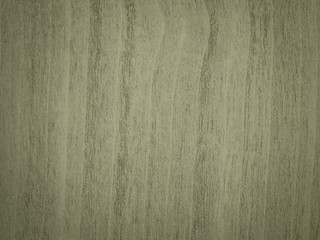 Fototapeta premium Wood texture and background