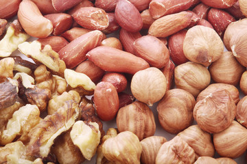 Different nuts forming background