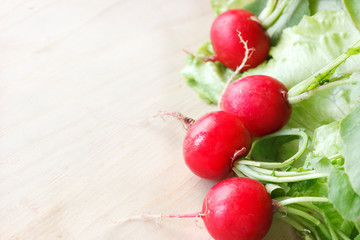 Fresh vegetables on a wooden board - radish, lettuce, arugula, tomatoes