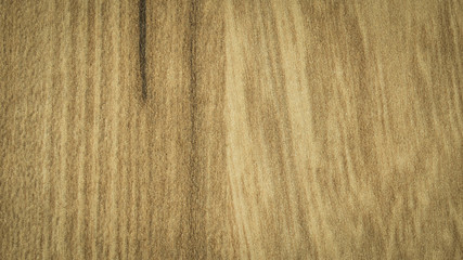 Wood texture and background