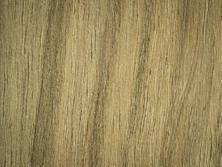 Wood texture and background