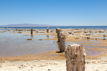 The Salton Sea