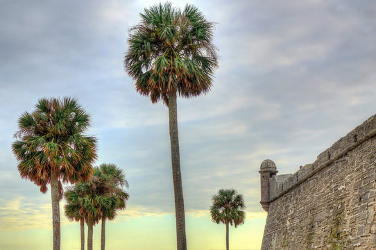 Castillo de San Marcos, St Augustine, Florida. A view of the wall and a corner tower. Also in the shot are four palm trees and the sunset cloudy sky.