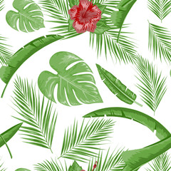 Exotic abstract vector jungle or tropical leaf and flower seamless pattern. Vector illustration. Green leaf and white background.