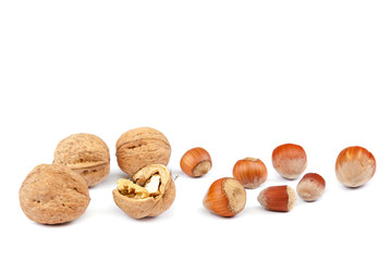 Hazelnuts and walnuts isolated on white background