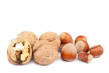 Hazelnuts and walnuts isolated on white background